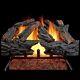 Natural Gas Vented Fireplace Logs Set With Match Light 55000 Btu Heats 2000 Sq